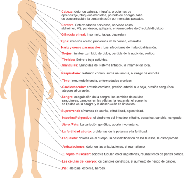 afectacion-de-las-radiacciones-en-el-cuerpo