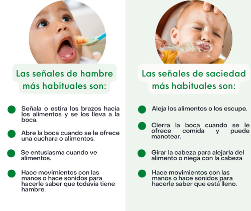 alimentacion complementaria en bebe